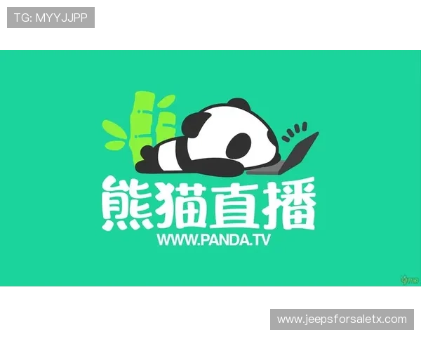 利用熊猫体育直播平台提升体育赛事观看体验的实用建议与技巧